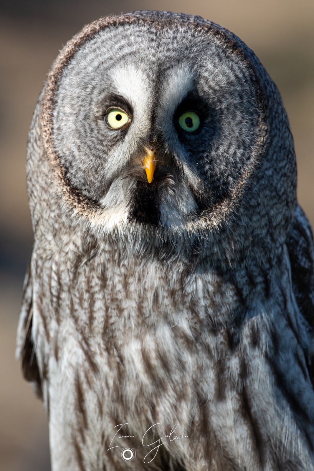 18 april 2022 095106  5D46424